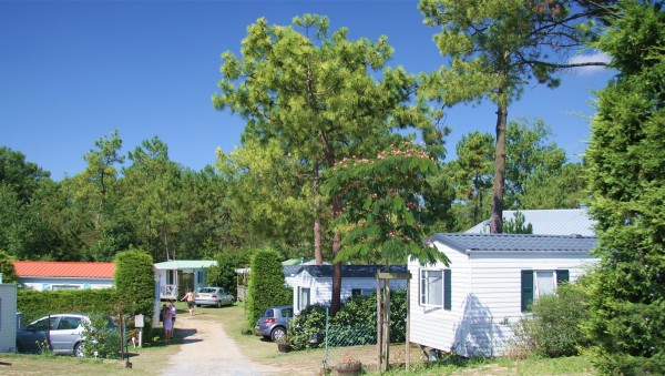 Camping à Saint Jean de monts